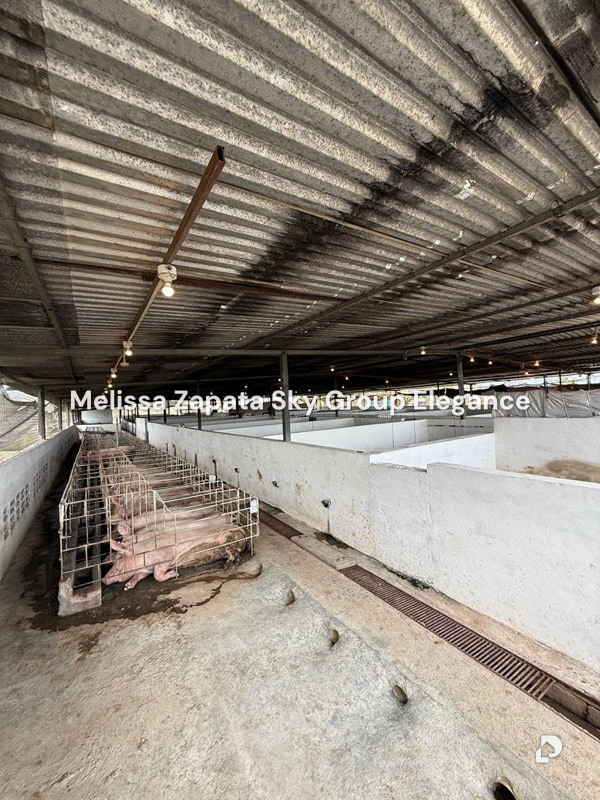 Finca en Chivacoa – 2