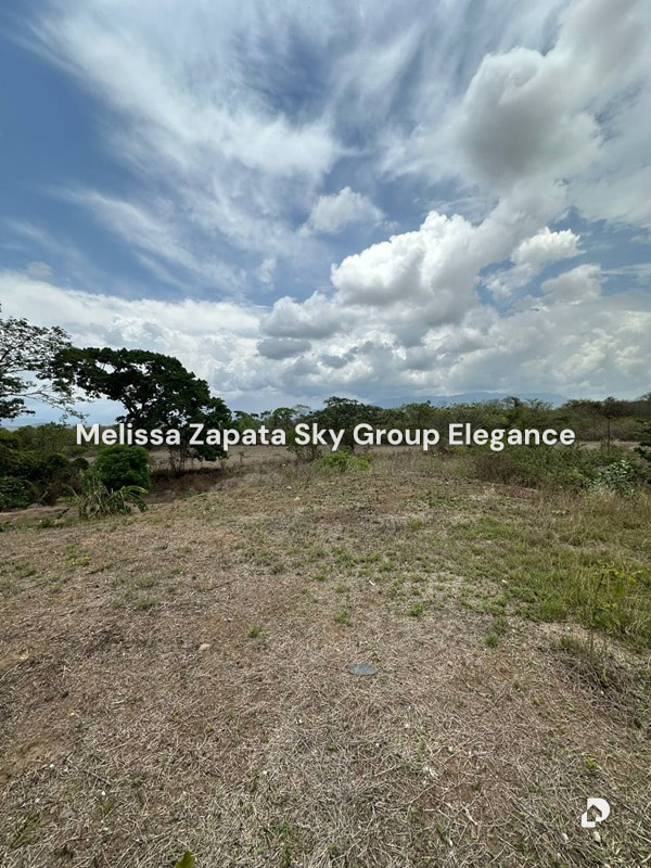 Finca en Chivacoa – 5
