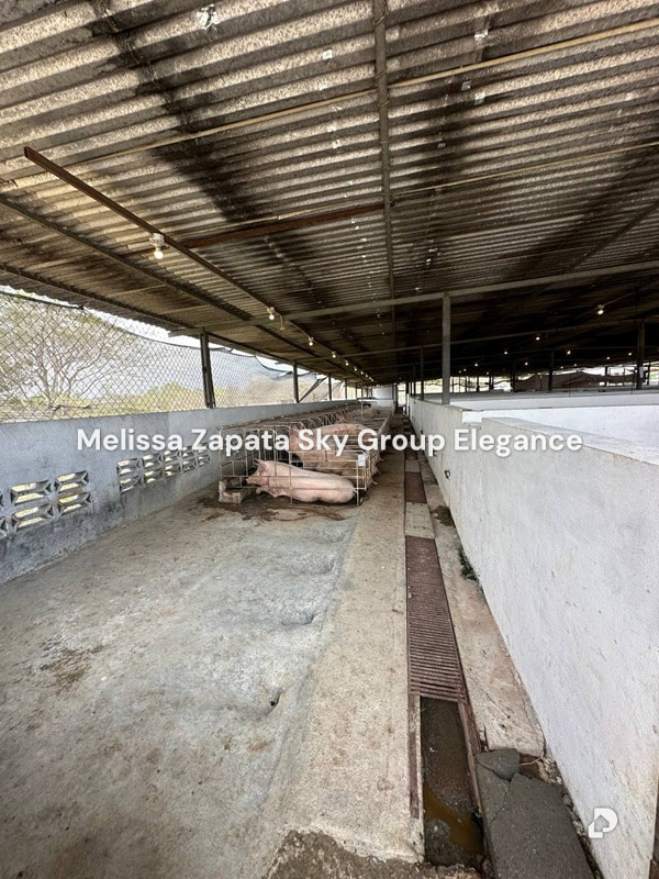 Finca en Chivacoa – 14