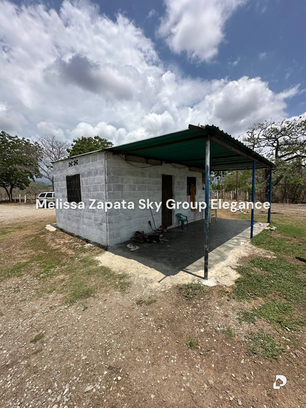 Finca en Chivacoa – 10