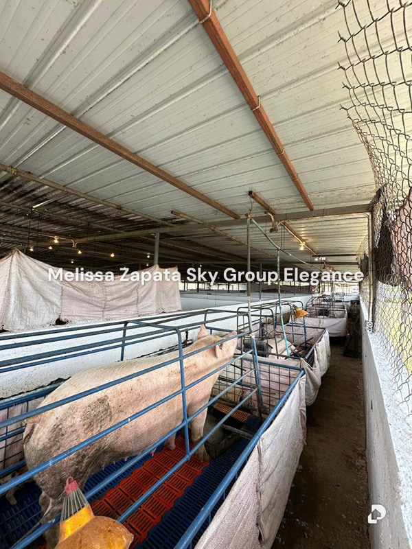 Finca en Chivacoa – 7