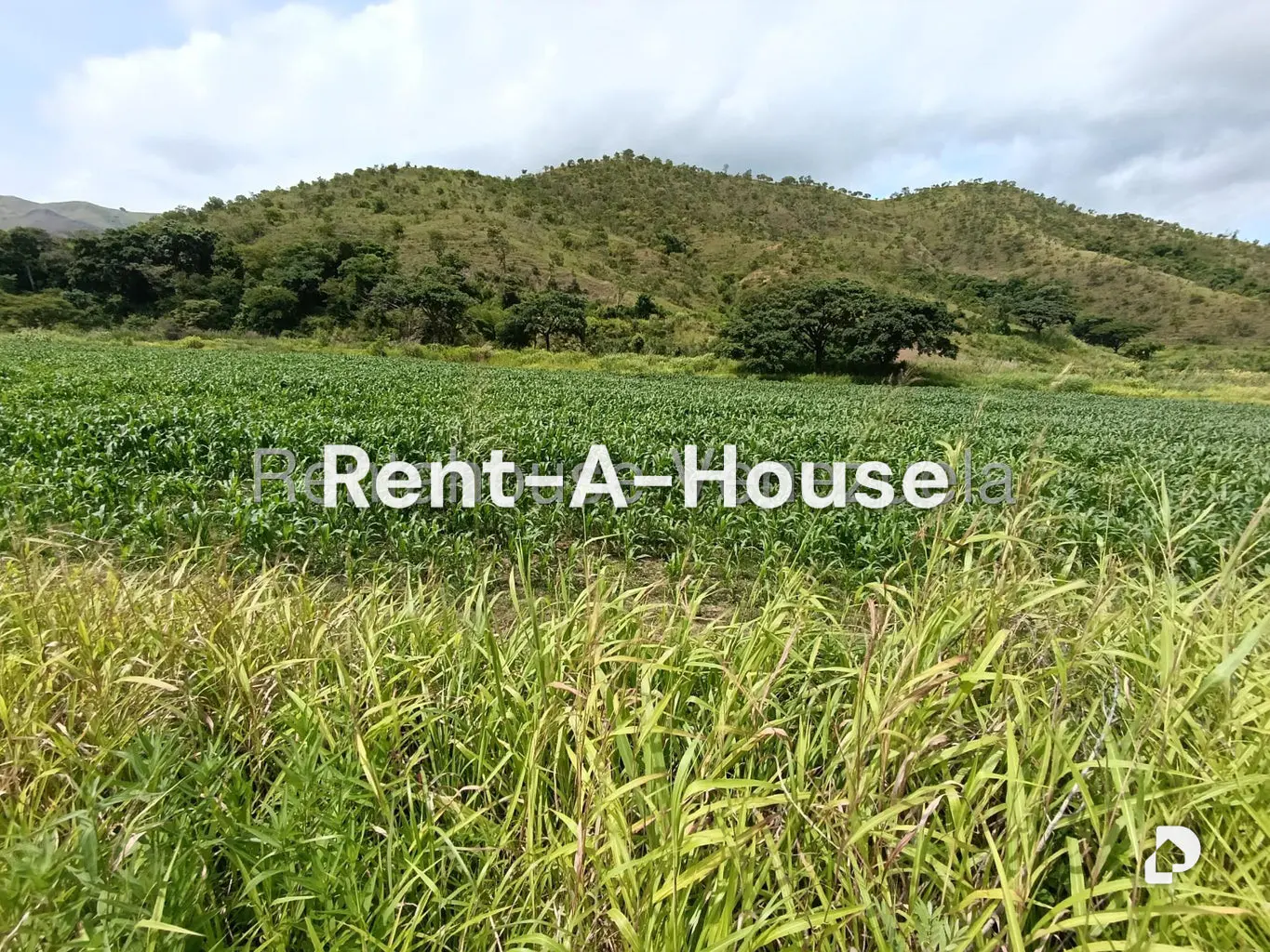 Terreno en Sector Sierra del Norte, Villa de Cura – 19