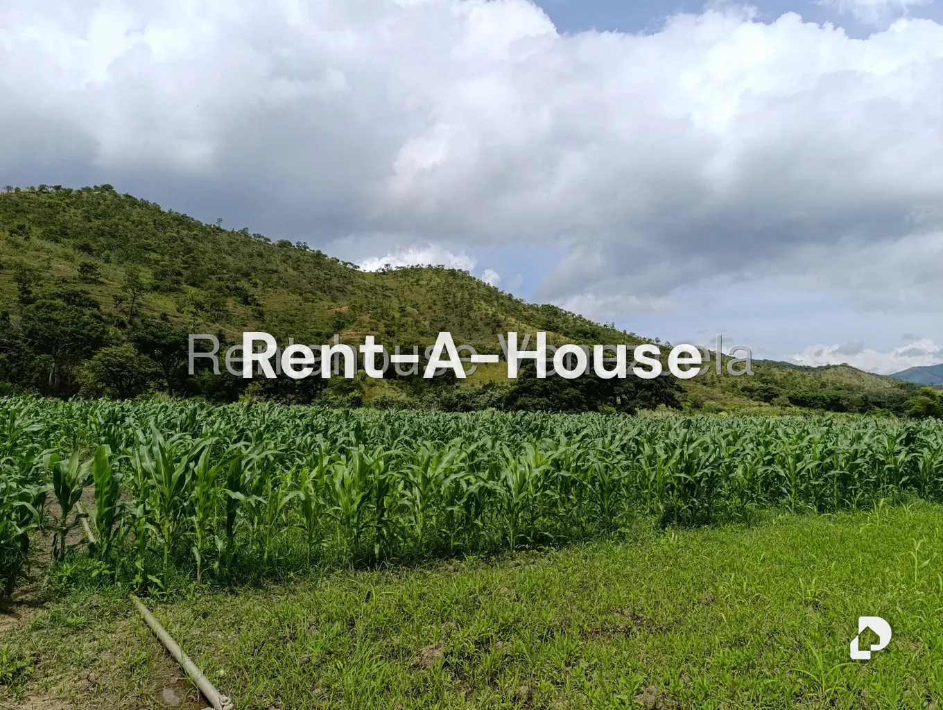 Terreno en Sector Sierra del Norte, Villa de Cura – 16