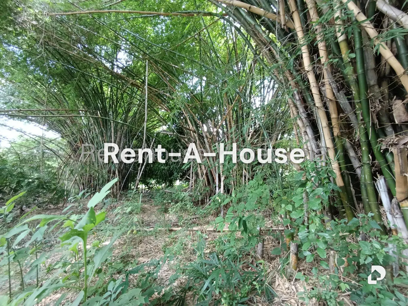 Terreno en Sector Sierra del Norte, Villa de Cura – 29