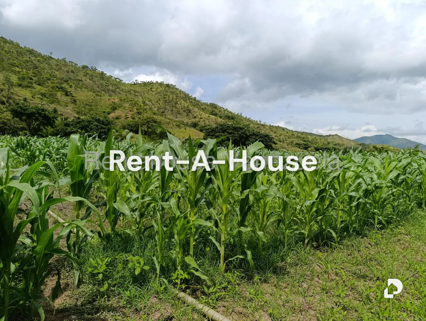 Terreno en Sector Sierra del Norte, Villa de Cura – 12