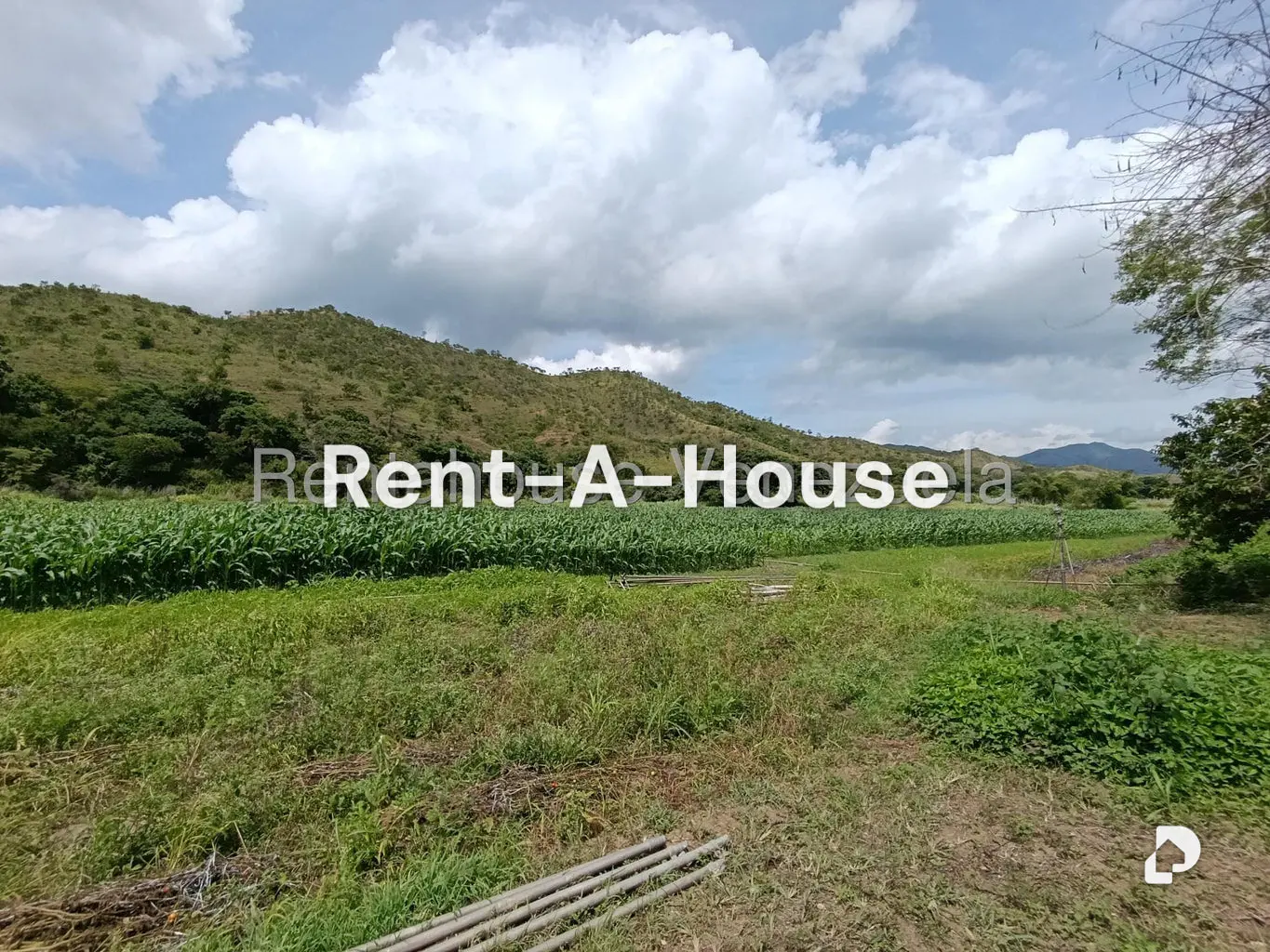 Terreno en Sector Sierra del Norte, Villa de Cura – 26