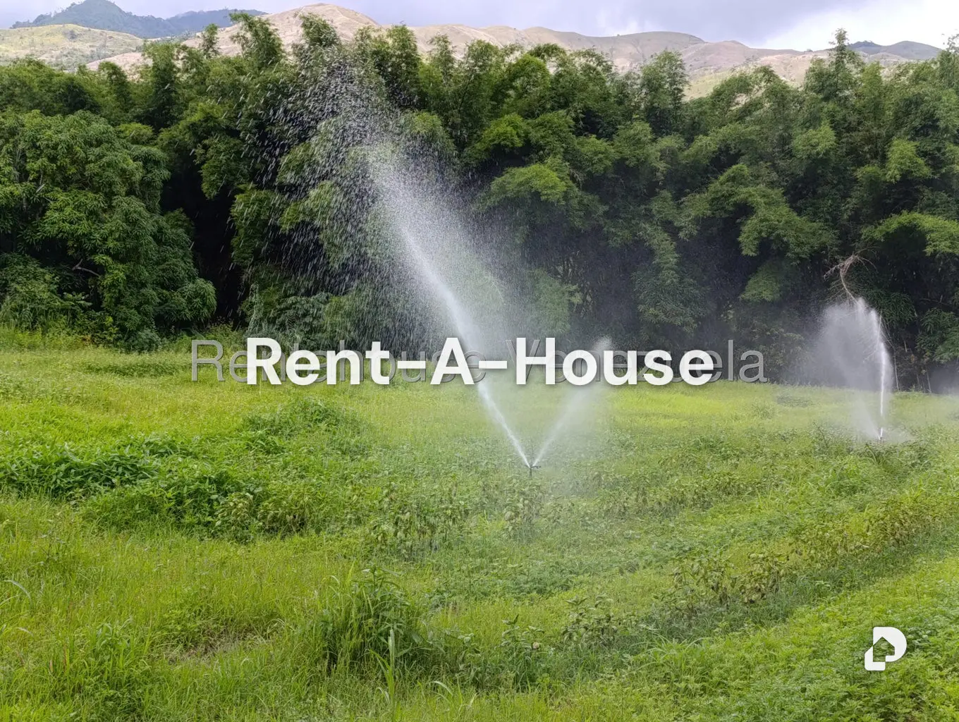 Terreno en Sector Sierra del Norte, Villa de Cura – 8