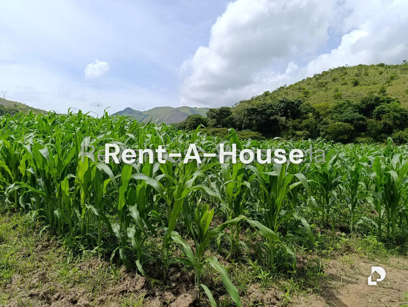 Terreno en Sector Sierra del Norte, Villa de Cura – 25