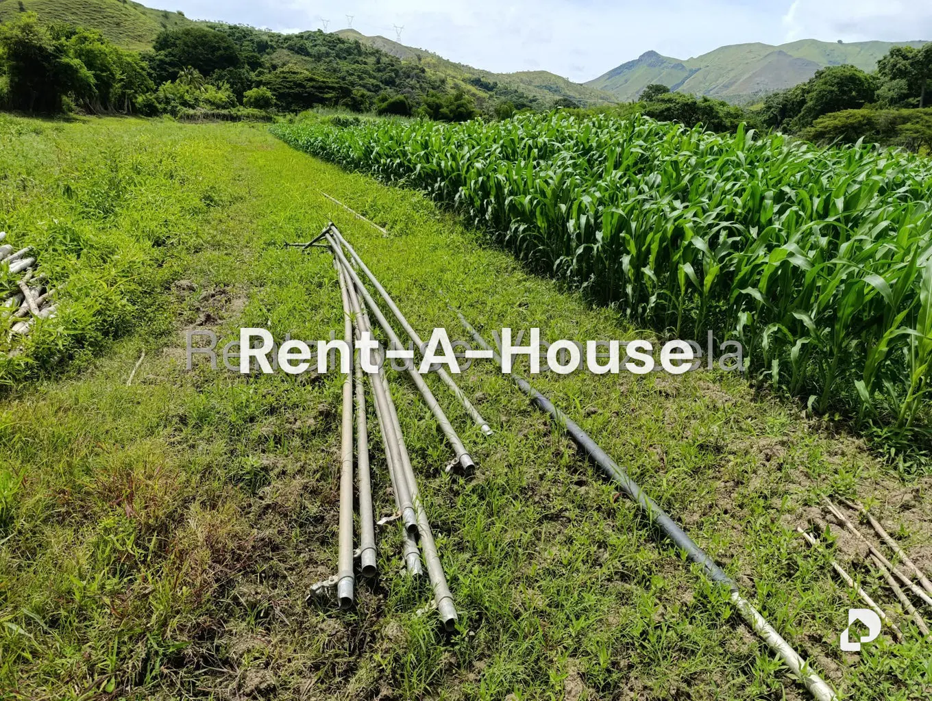 Terreno en Sector Sierra del Norte, Villa de Cura – 22