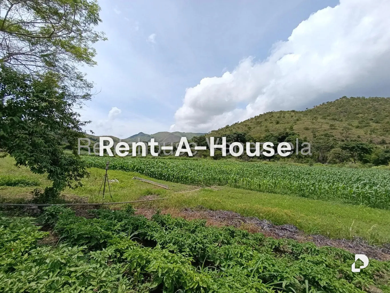 Terreno en Sector Sierra del Norte, Villa de Cura – 21