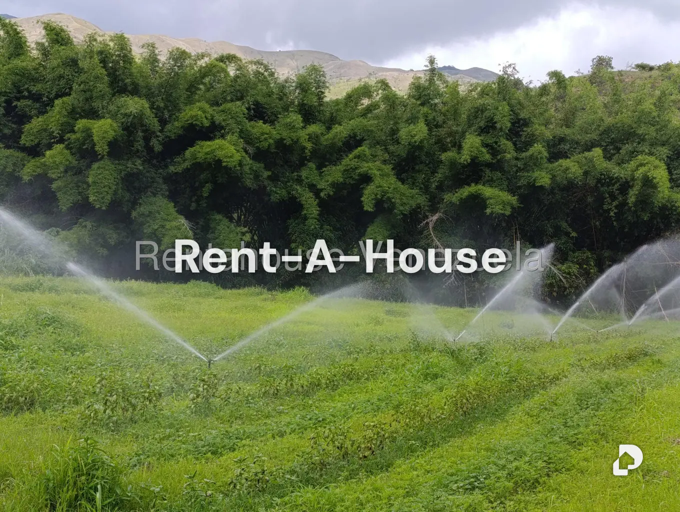 Terreno en Sector Sierra del Norte, Villa de Cura – 7