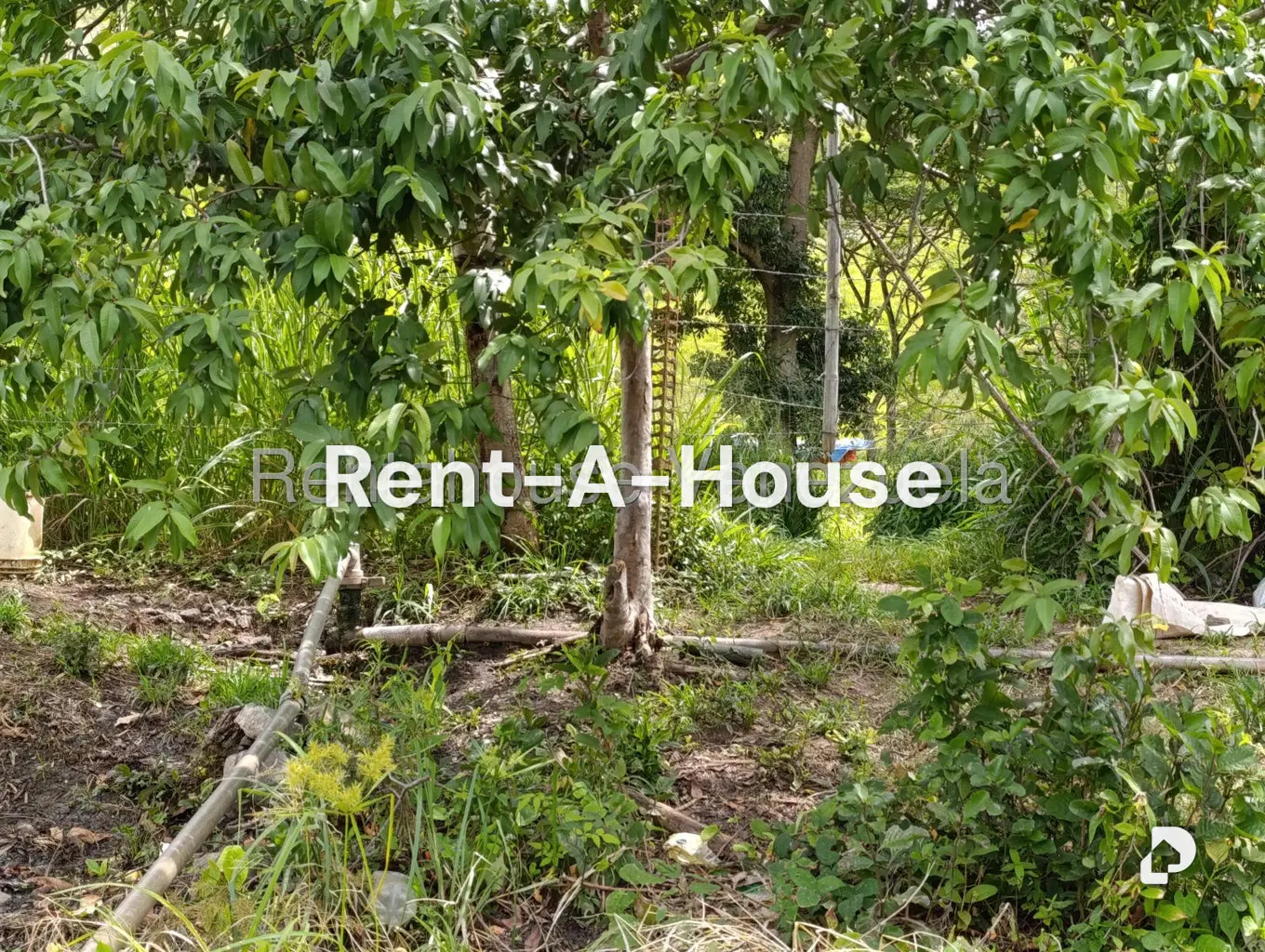 Terreno en Sector Sierra del Norte, Villa de Cura – 24