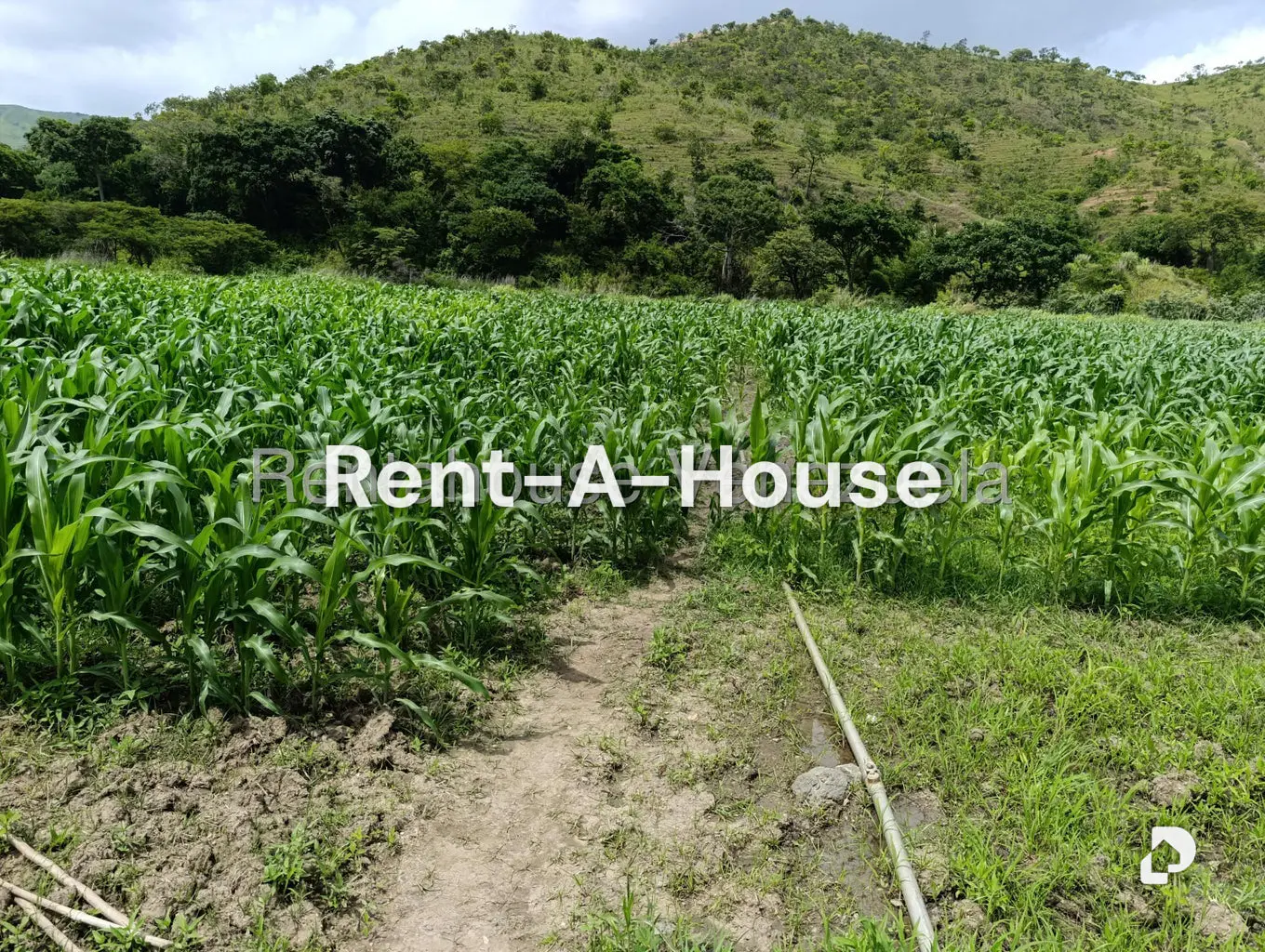 Terreno en Sector Sierra del Norte, Villa de Cura – 23