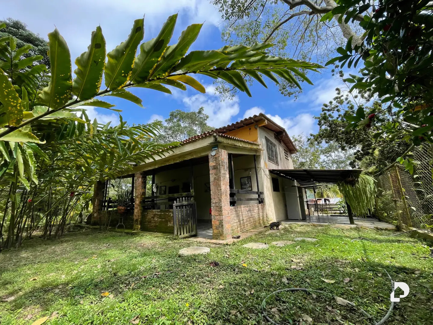 Farm in La Palmita – 1