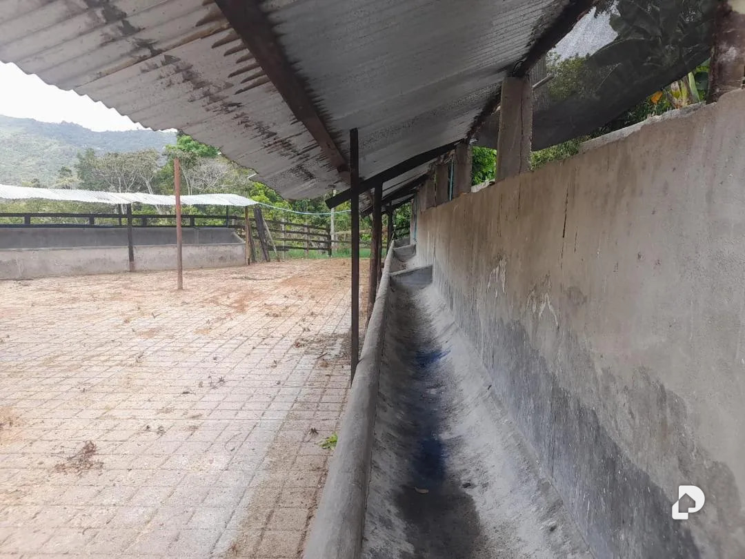 Farm in La Palmita – 31