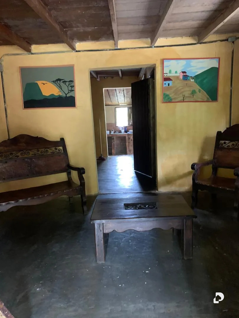 Farm in La Palmita – 15