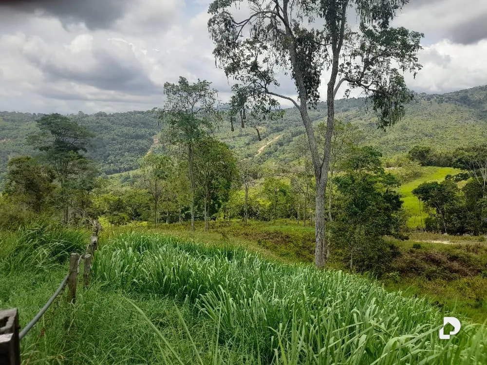Farm in La Palmita – 45