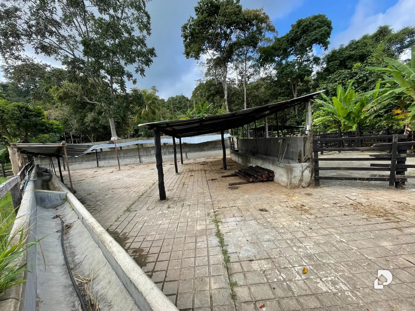 Farm in La Palmita – 3