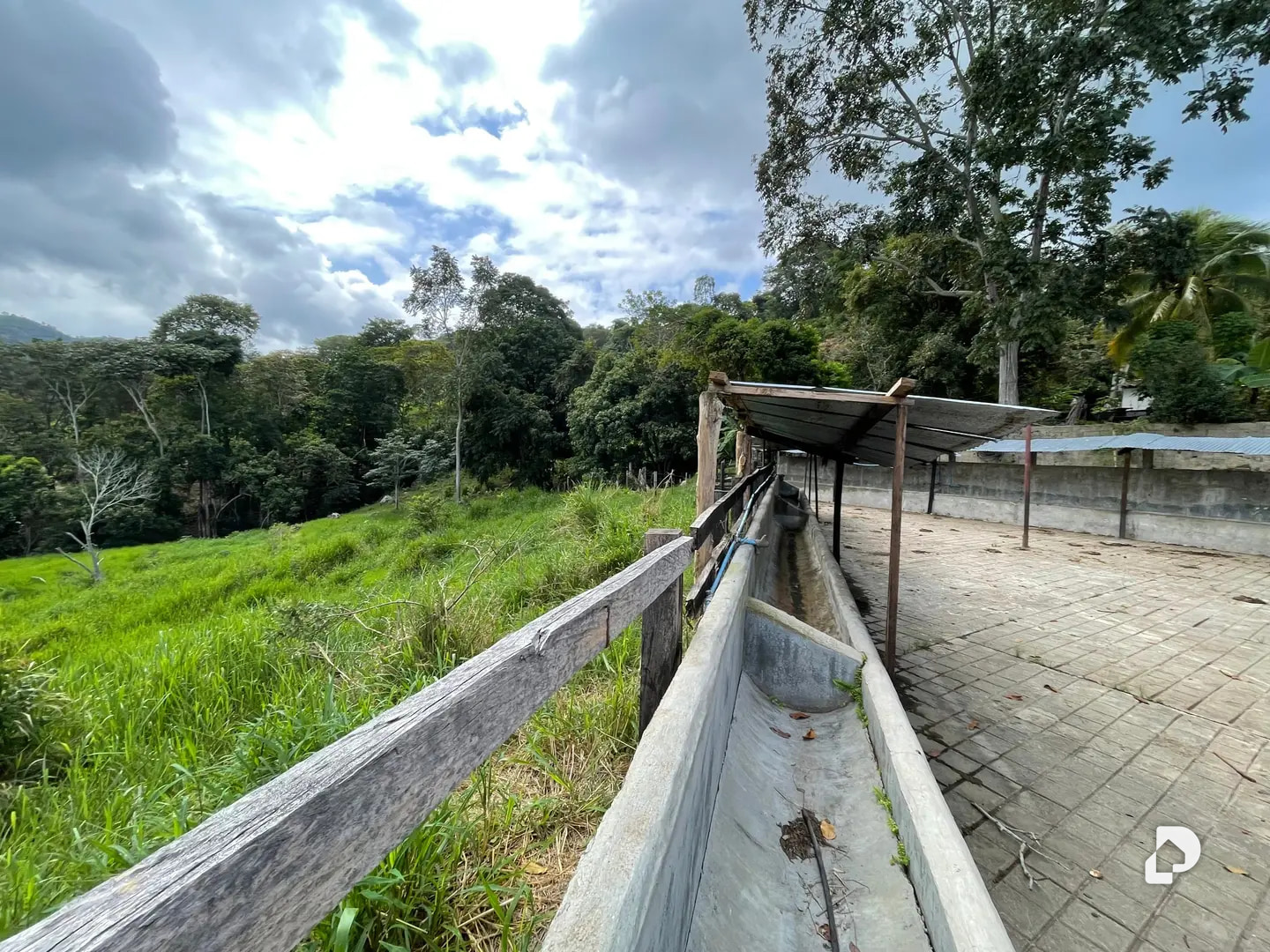Farm in La Palmita – 2