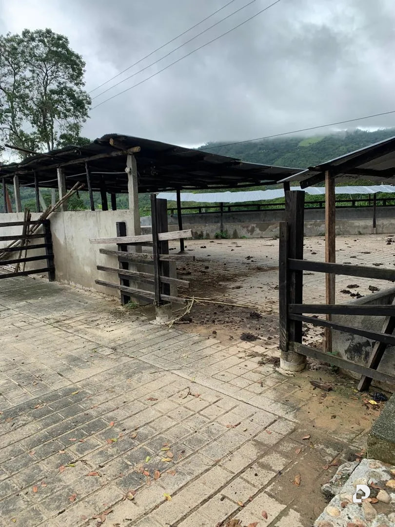 Farm in La Palmita – 27