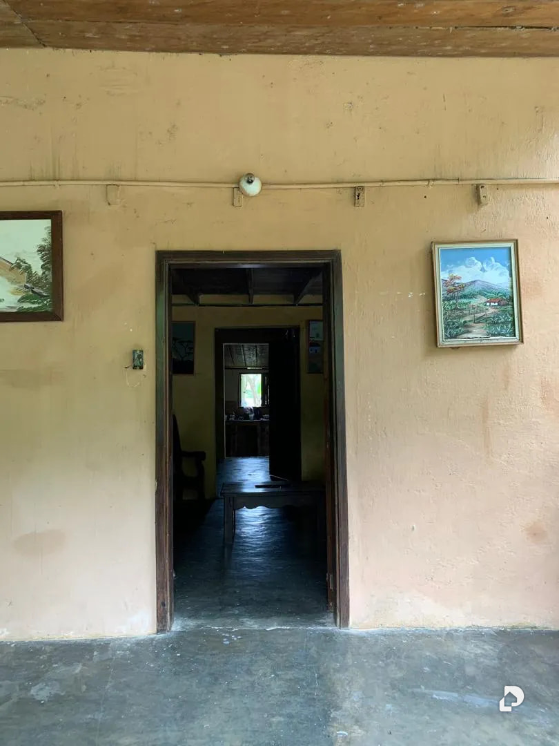 Farm in La Palmita – 16