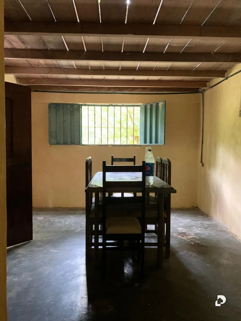 Farm in La Palmita – 14
