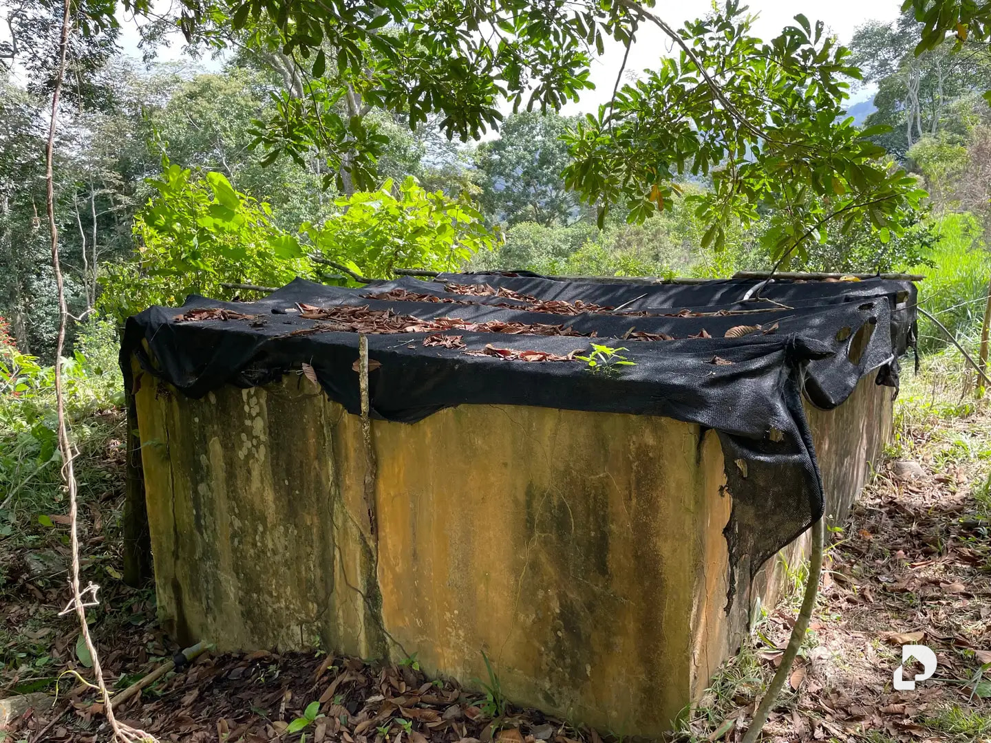 Farm in La Palmita – 25