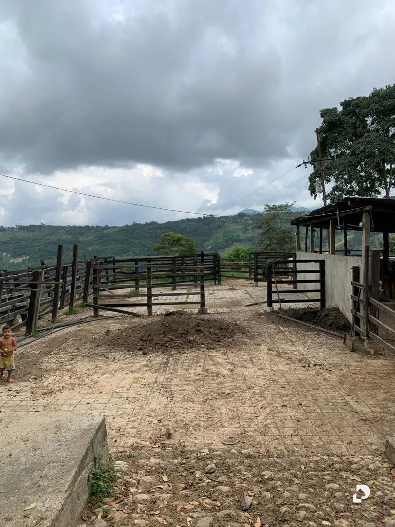 Farm in La Palmita – 33