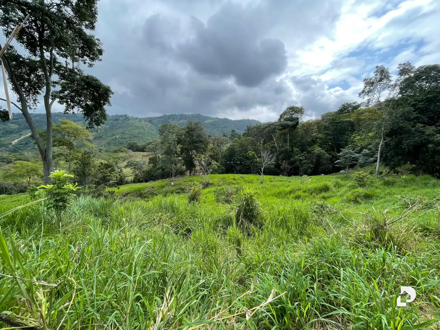 Farm in La Palmita – 4