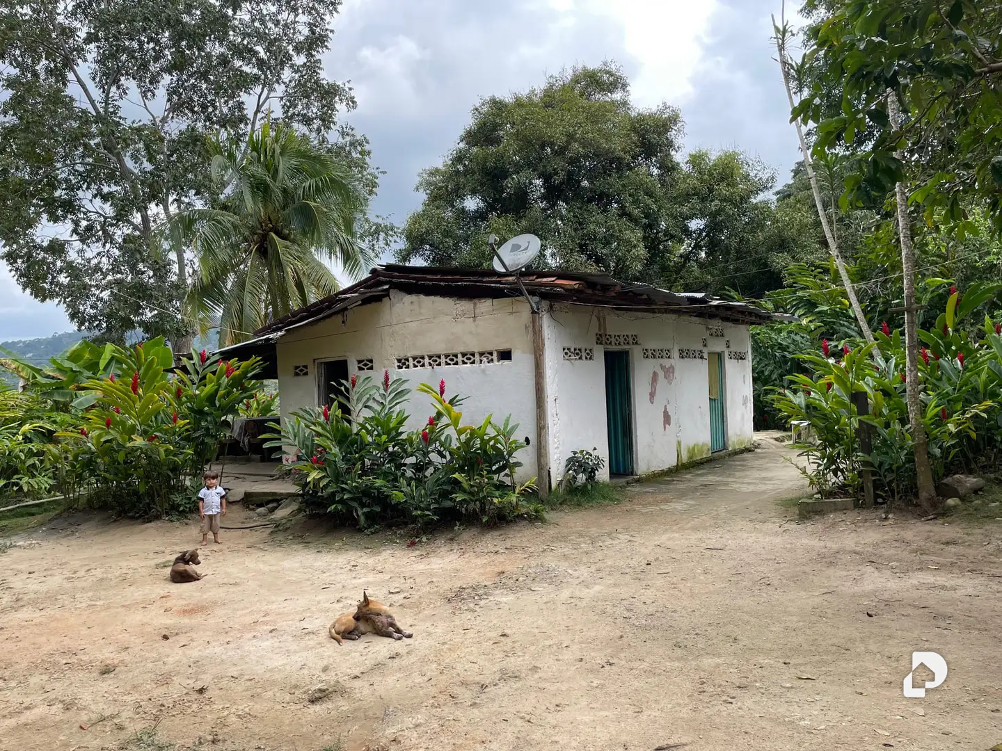 Farm in La Palmita – 23