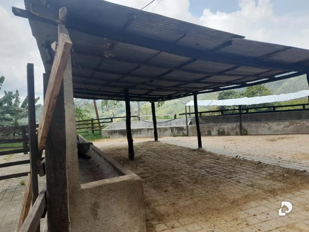 Farm in La Palmita – 29