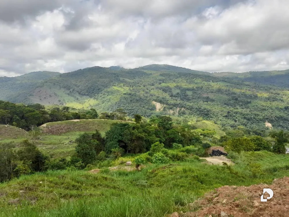 Farm in La Palmita – 40