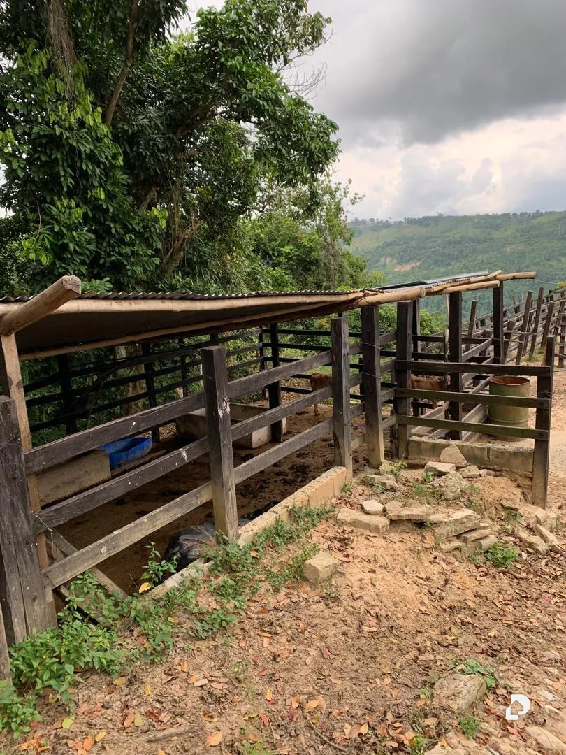 Farm in La Palmita – 34
