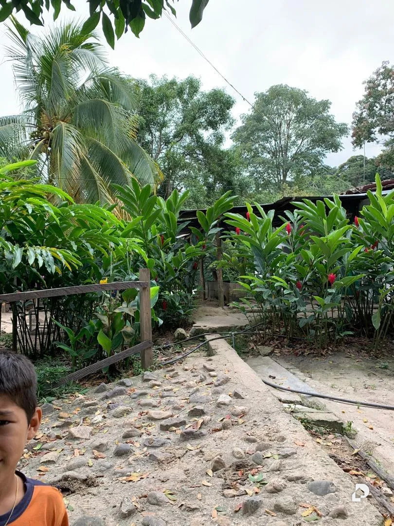 Farm in La Palmita – 37