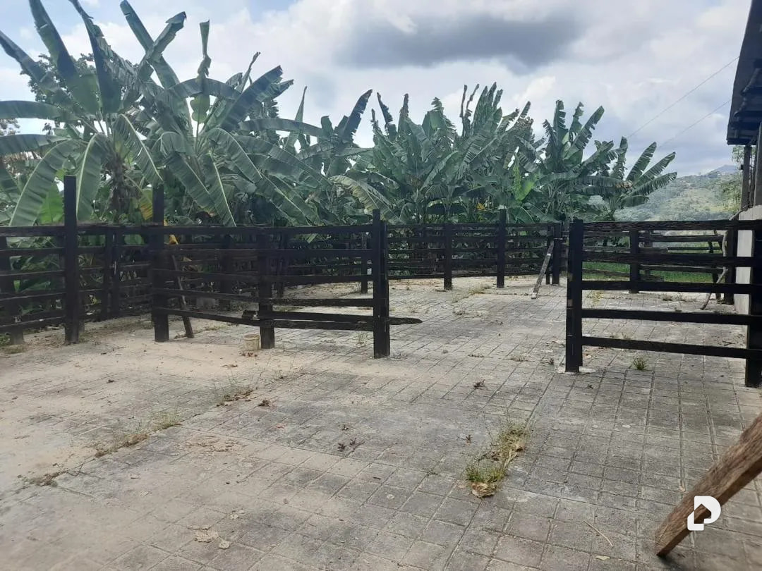 Farm in La Palmita – 32