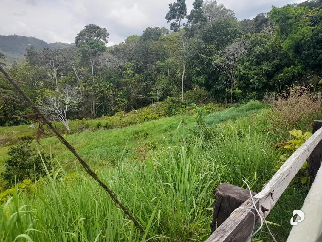 Farm in La Palmita – 43