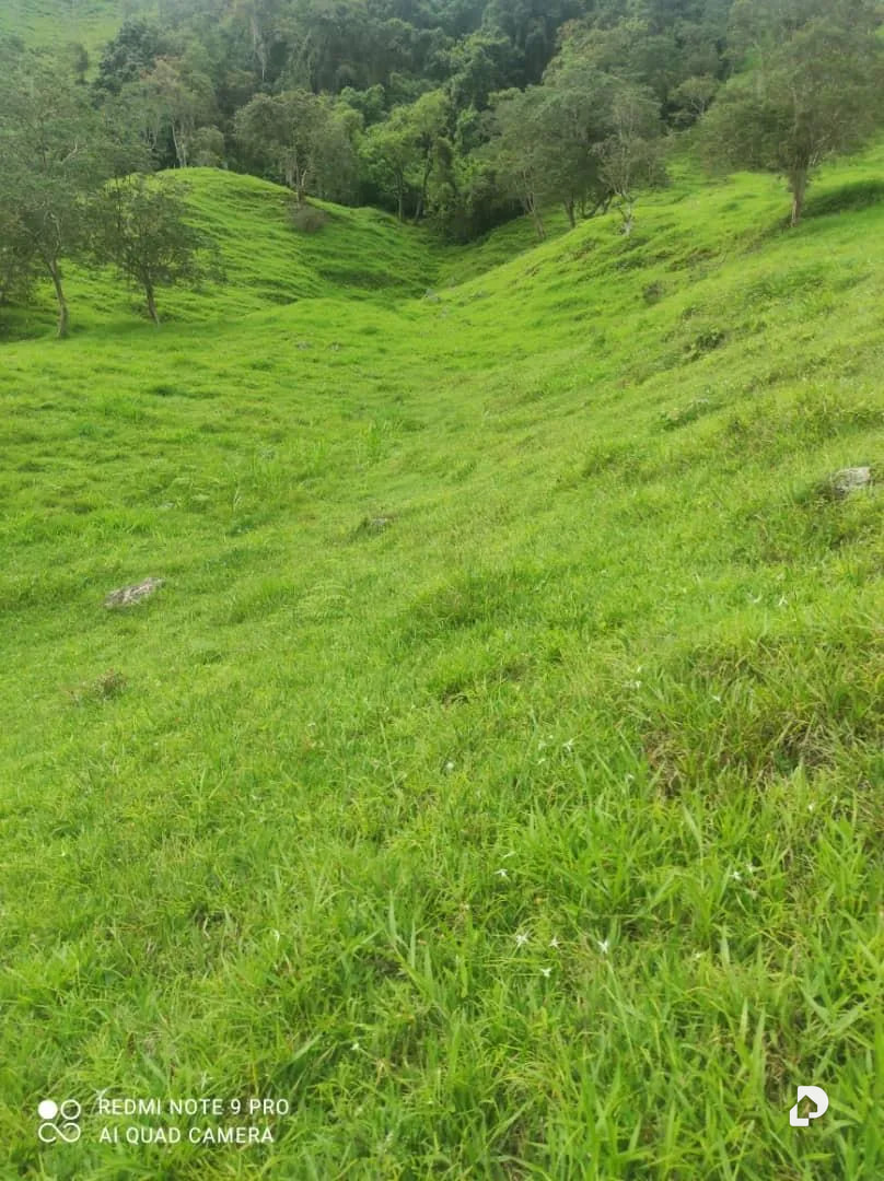 Farm in La Palmita – 48