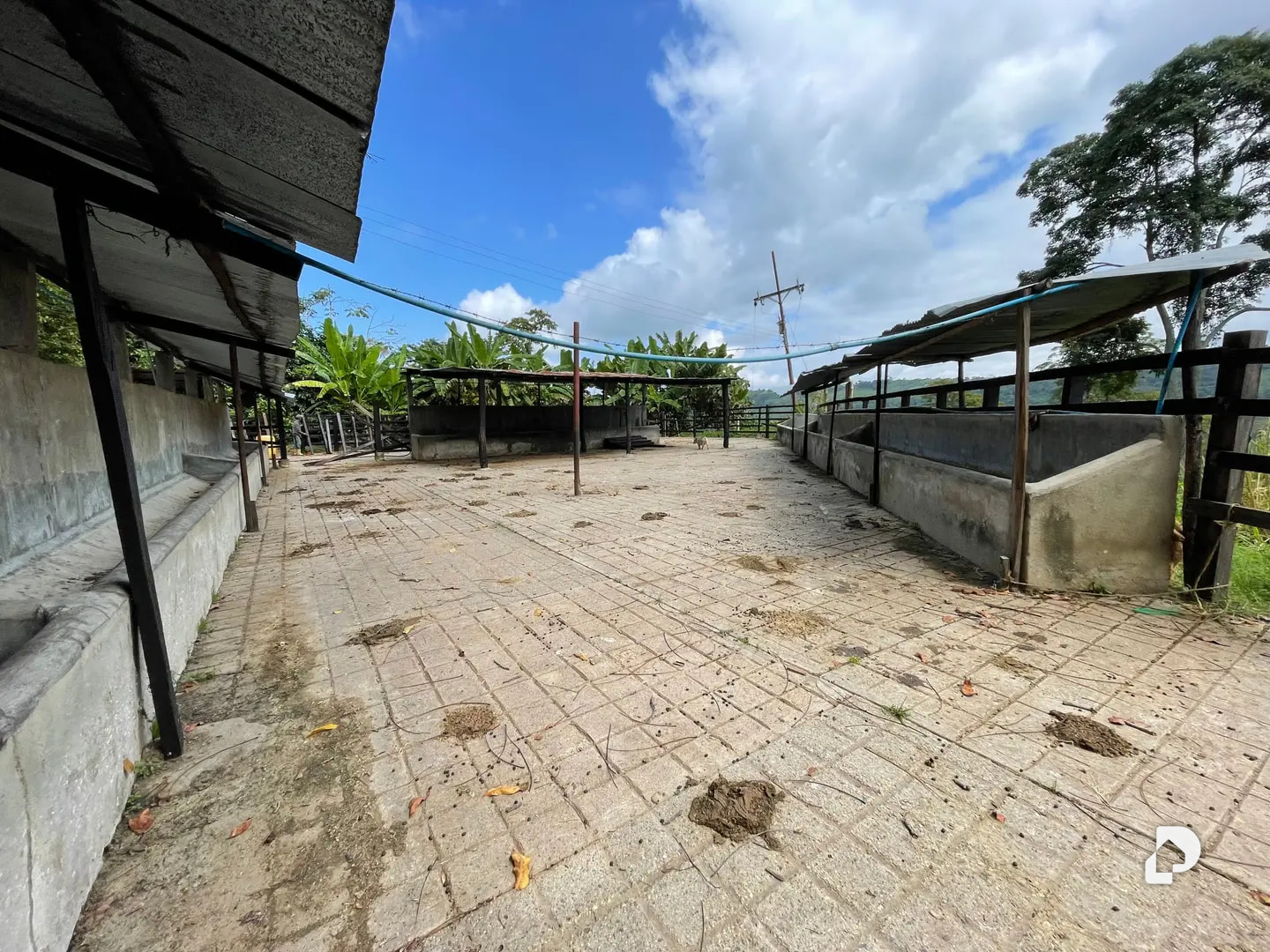Farm in La Palmita – 5