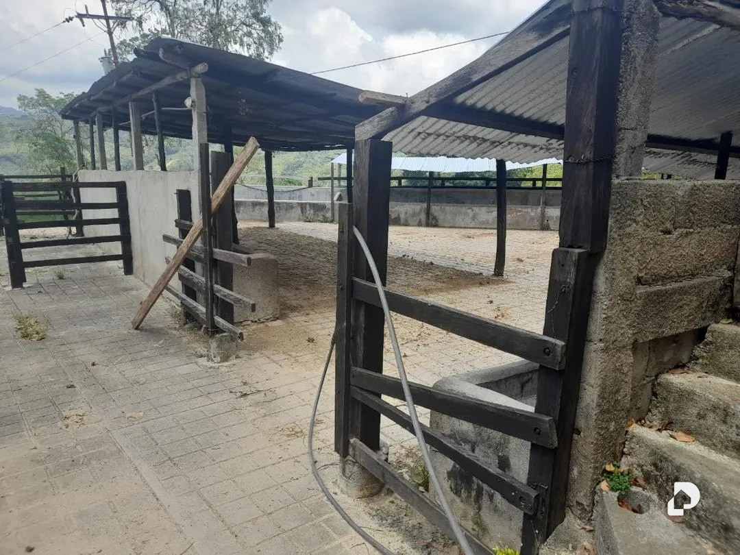 Farm in La Palmita – 30