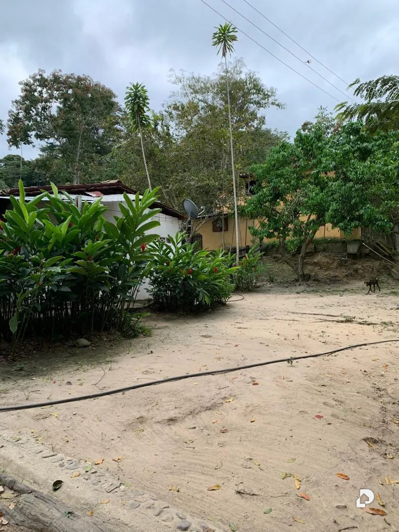 Farm in La Palmita – 38