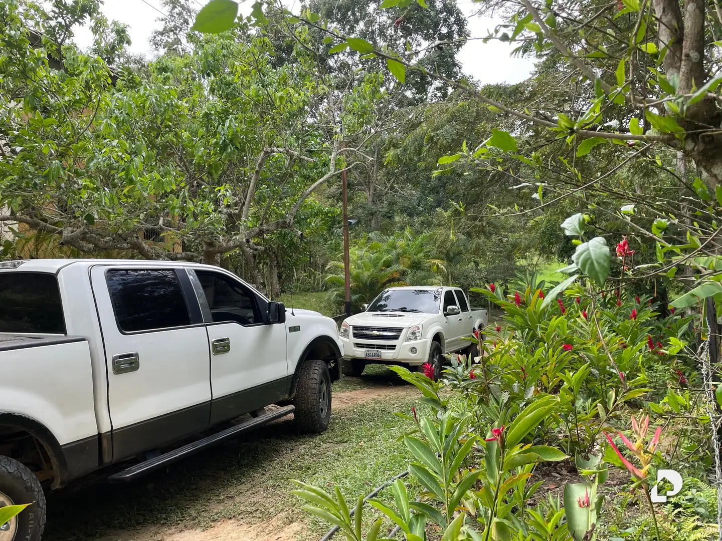 Farm in La Palmita – 24