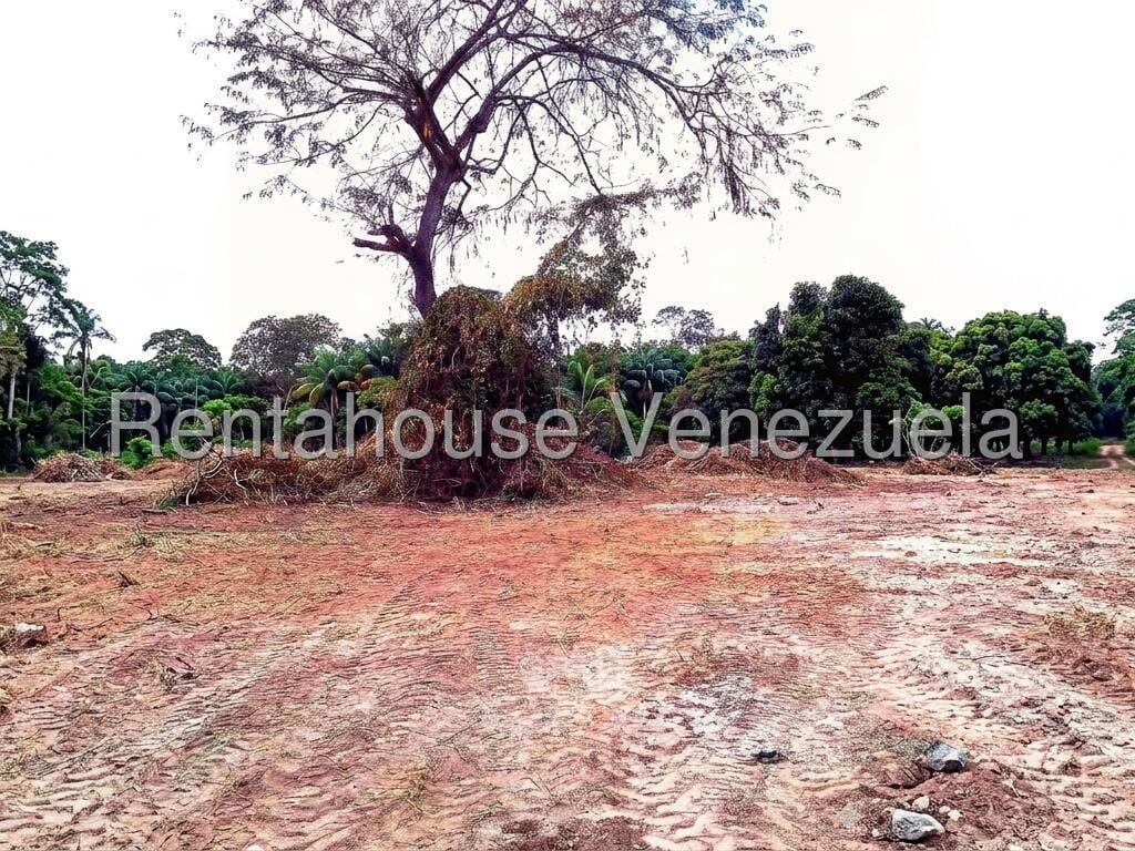 Terreno en Colinas de Guataparo, Valencia - 1