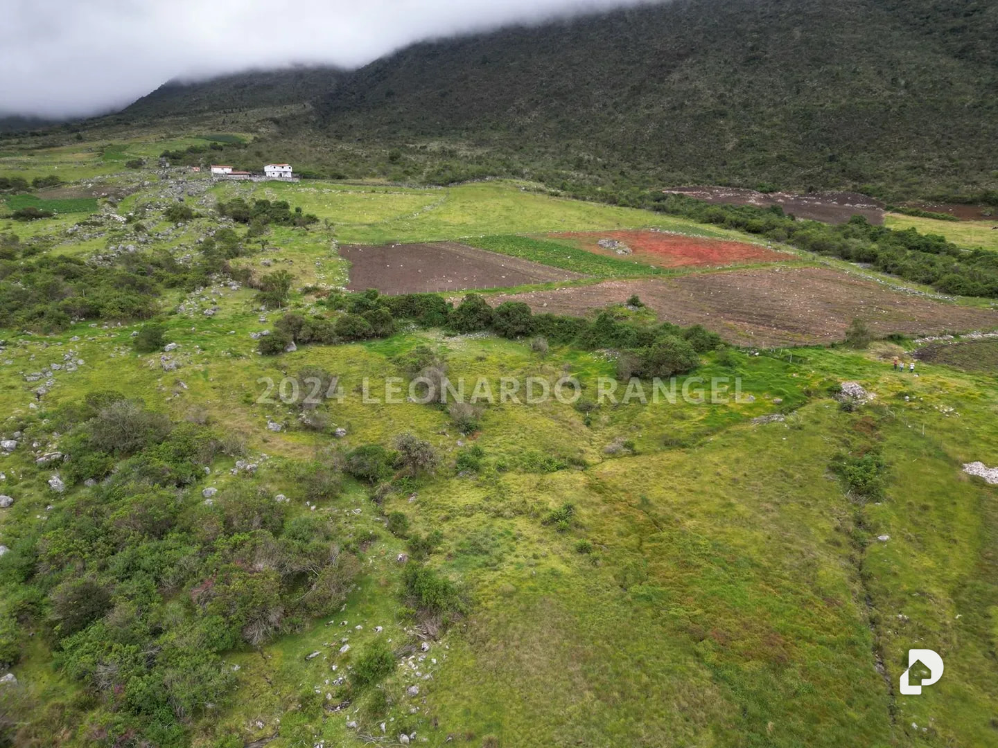 Land in La Culata, Gonzalo Picón Febres – 5