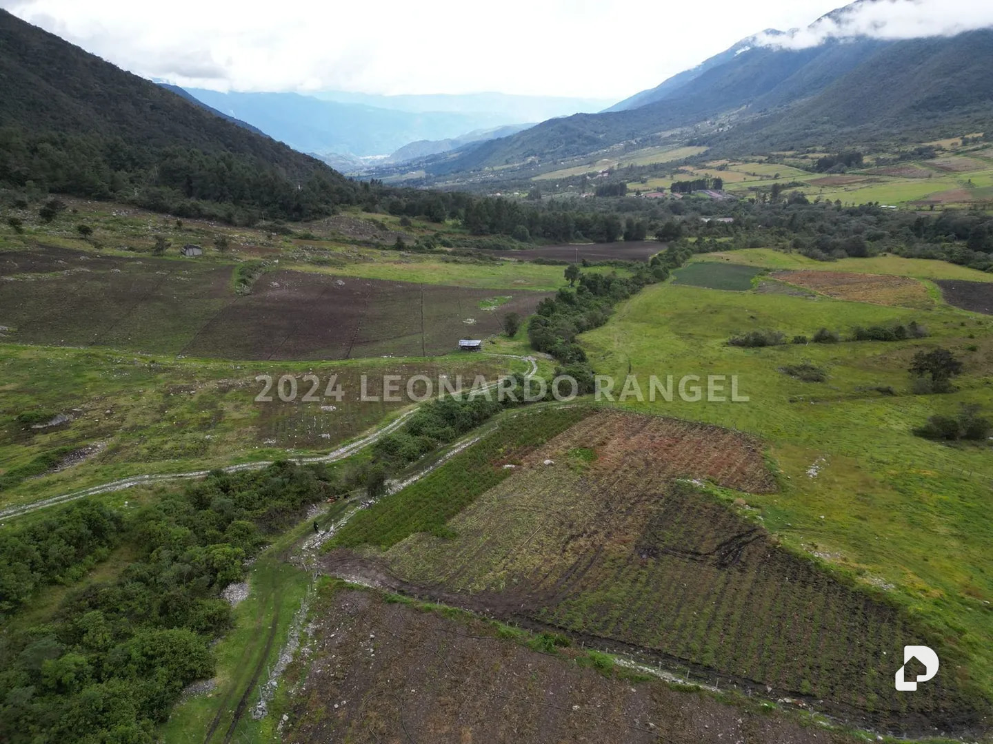 Land in La Culata, Gonzalo Picón Febres – 7