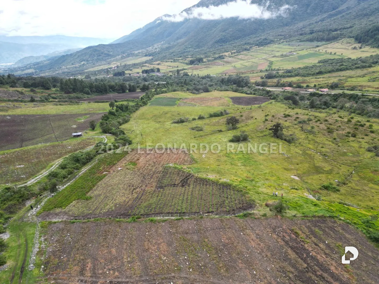 Land in La Culata, Gonzalo Picón Febres – 8