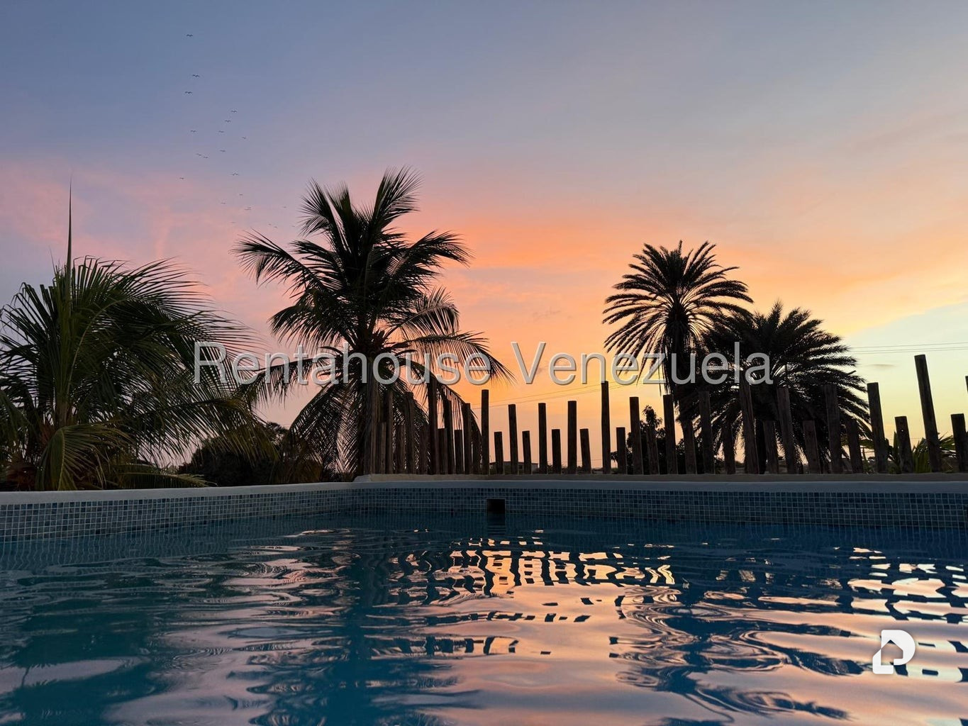 Local comercial en El Yaque – 3