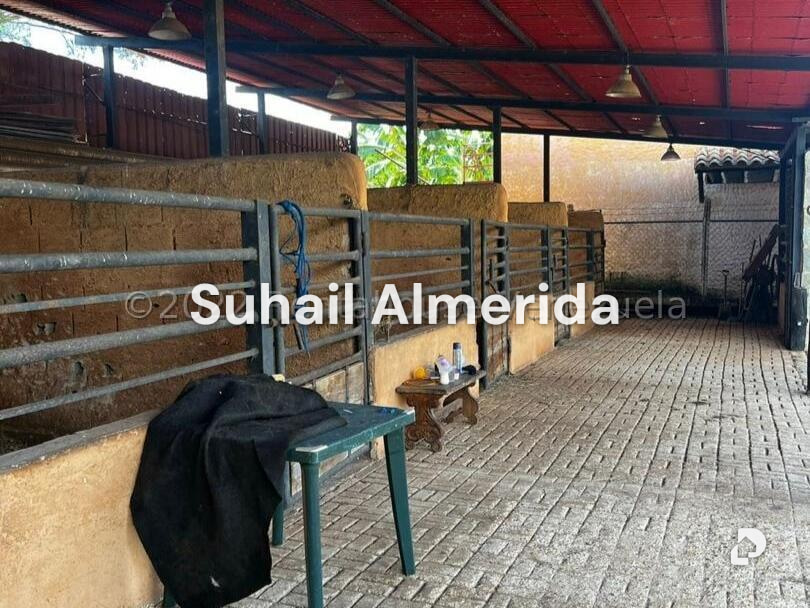 Terreno en Barrera, Libertador – 9