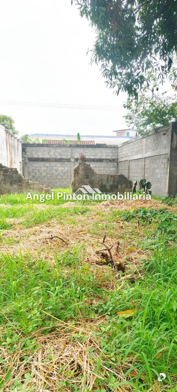 Local comercial en Reja de Guanare, Acarigua – 5