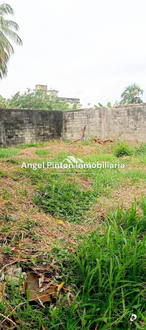 Local comercial en Reja de Guanare, Acarigua – 1
