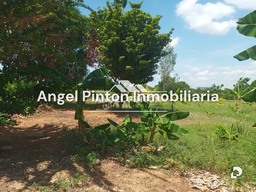 Finca en El Palotal, Maracaibo – 2